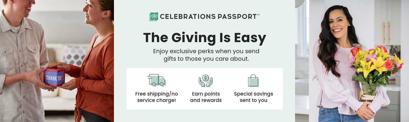 Passport Hero Image
